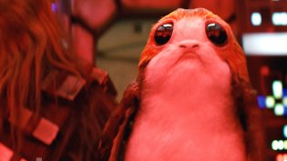 meet-the-adorable-porgs-and-the-nun-like-caretakers-in-from-luke-skywalkers-island-in-the-last-jedi-social.jpg